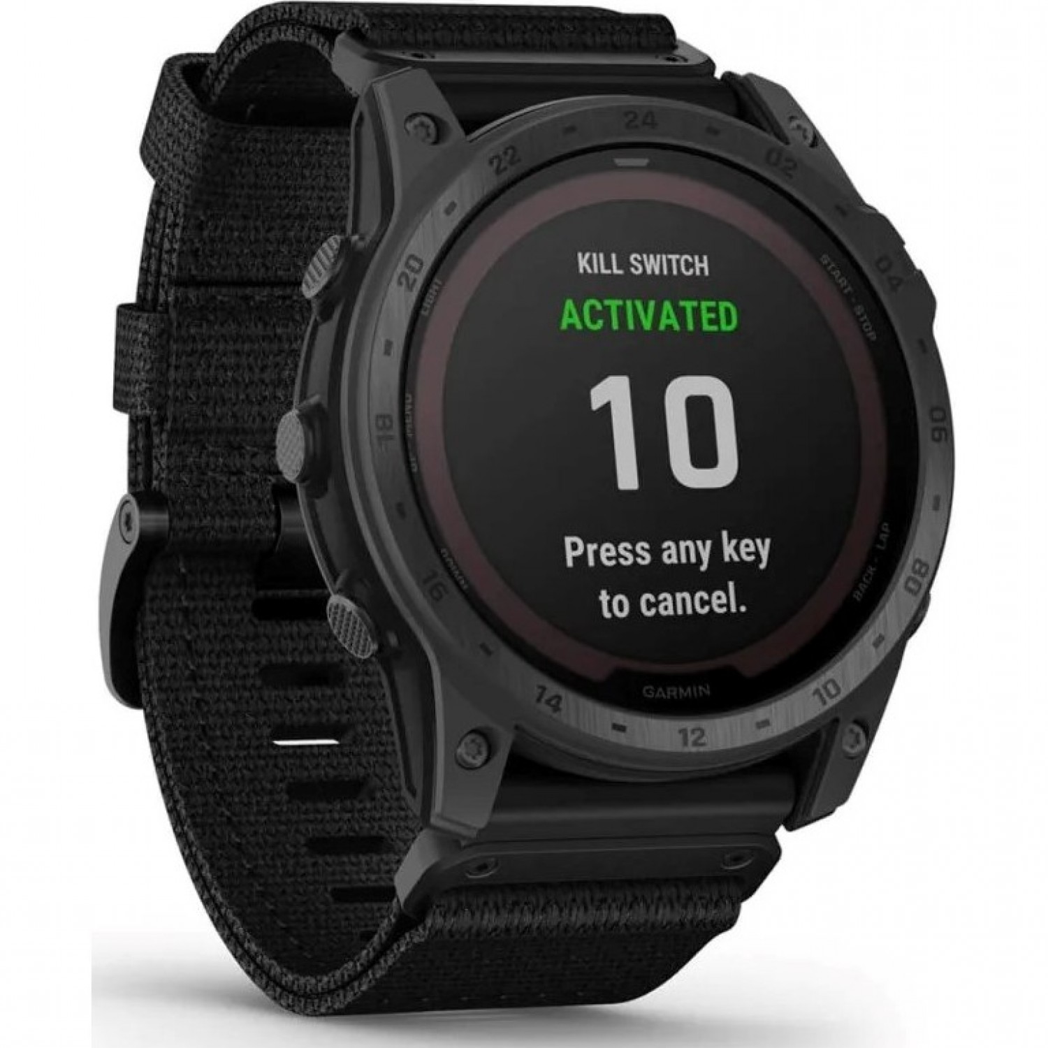 Garmin delta 2 watch cheap