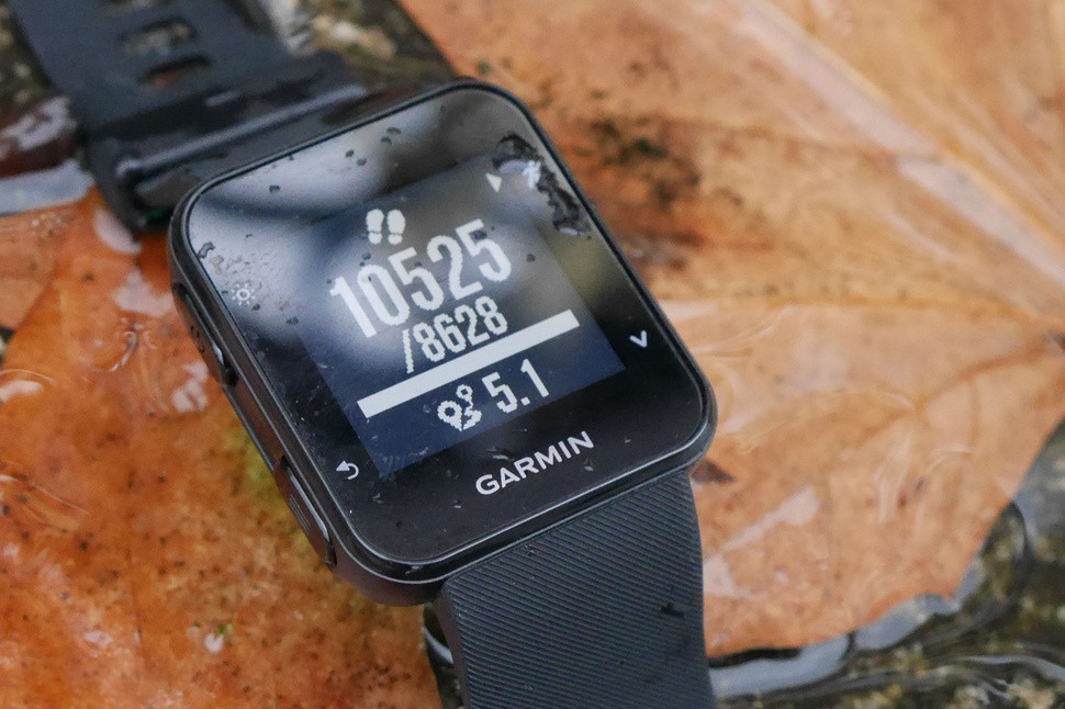 Garmin vivoactive vs forerunner 35 online