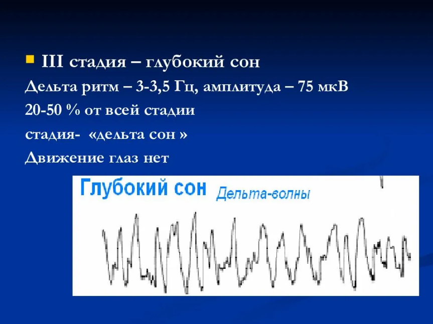 Глубокий сон. Дельта ритм. Фазы сна глубокий сон. Глубокий сон ритм.