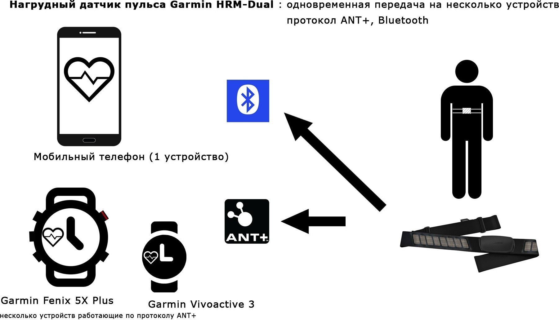 Обзор GARMIN HRM-DUAL. Нагрудный пульсометр со сдвоенным датчиком