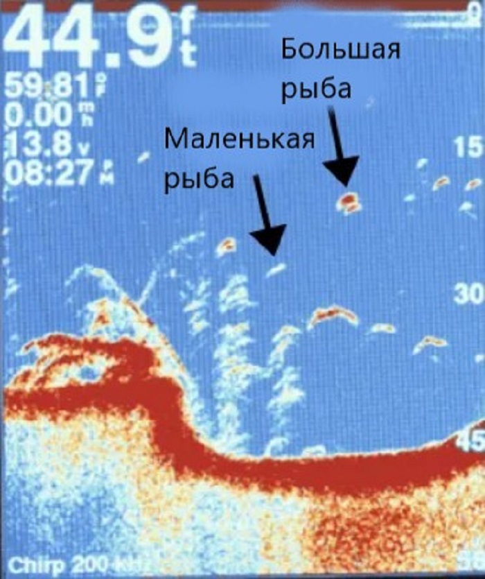 Как читать эхолот. Deeper CHIRP+2 Размеры рыбы. Как рыба отражается в эхолоте.